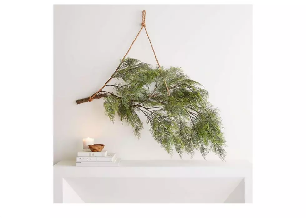Crate & Barrel Is Selling A Tree Branch For $100 As ‘House Decor’