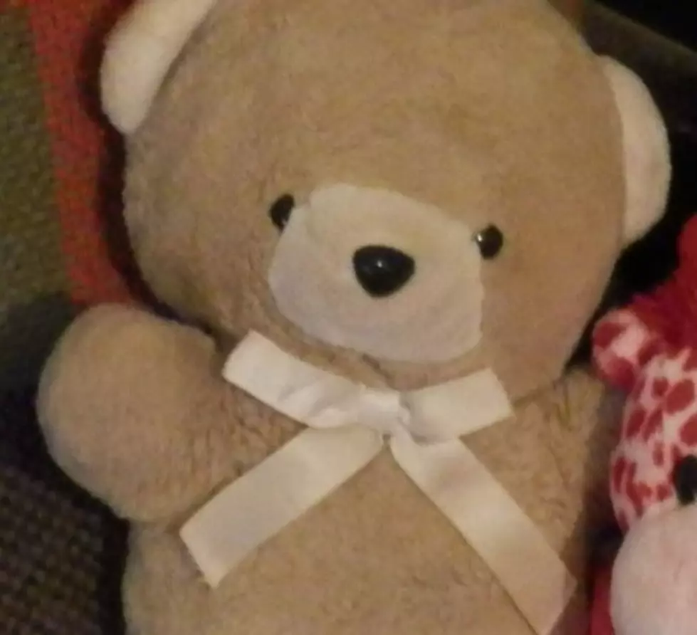 El Pasoan Offering a Reward to Locate Their Childhood Teddy Bear