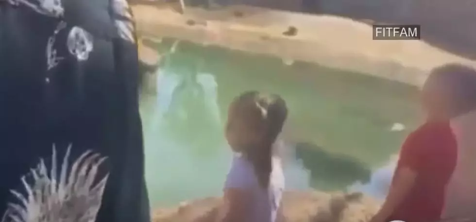 A Viral Video of Bad Parenting at Its Finest at the El Paso Zoo