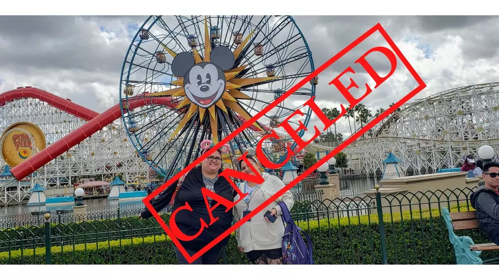 Happy One Year Anniversary to My Canceled Disneyland Trip