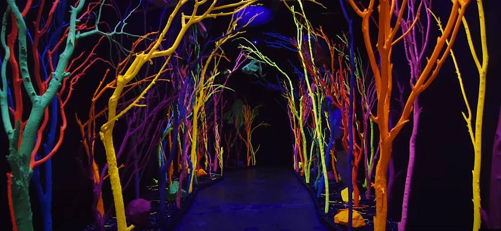 Meow Wolf's House of Eternal Return Finally Re-Opens With Changes