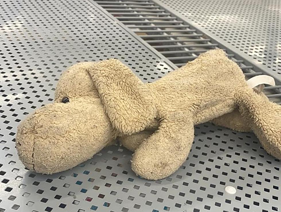 Help an EP Kid Be Reunited with Their Left Behind Puppy Stuffy