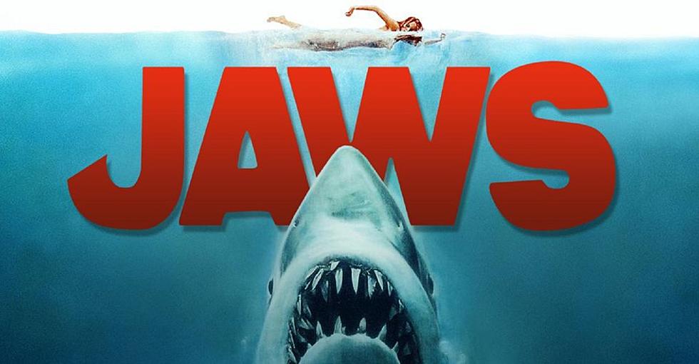 Adult Swim is Happening & You Could Watch ‘Jaws’ In a Pool