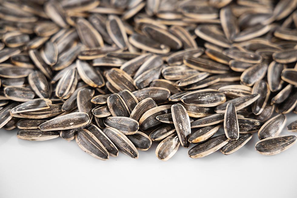 How Sunflower Seeds Helped Me During a Long Drive Through Arizona