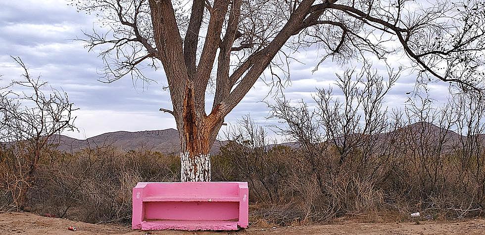 Cesar Soto Tells Us About The Pink Bench And His Song 'Willow'
