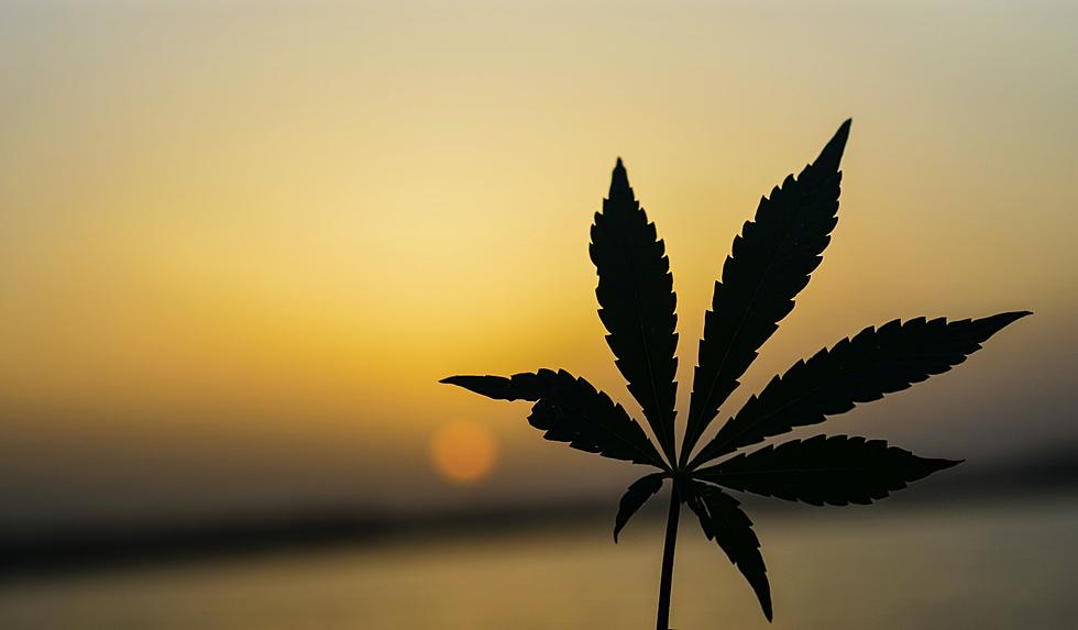 Marijuana Replacement “Delta 8” Now Illegal in Texas and El Paso