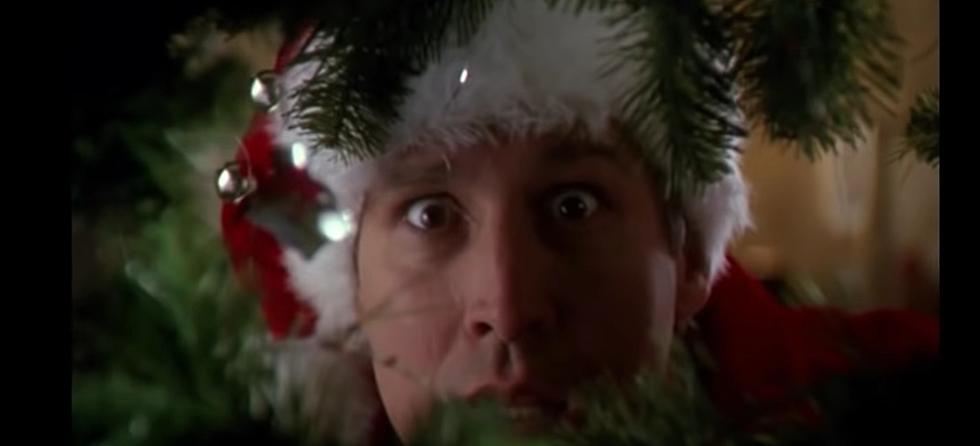 Get Into the Holiday Spirit With These 7 Holiday Classics at Alamo Drafthouse