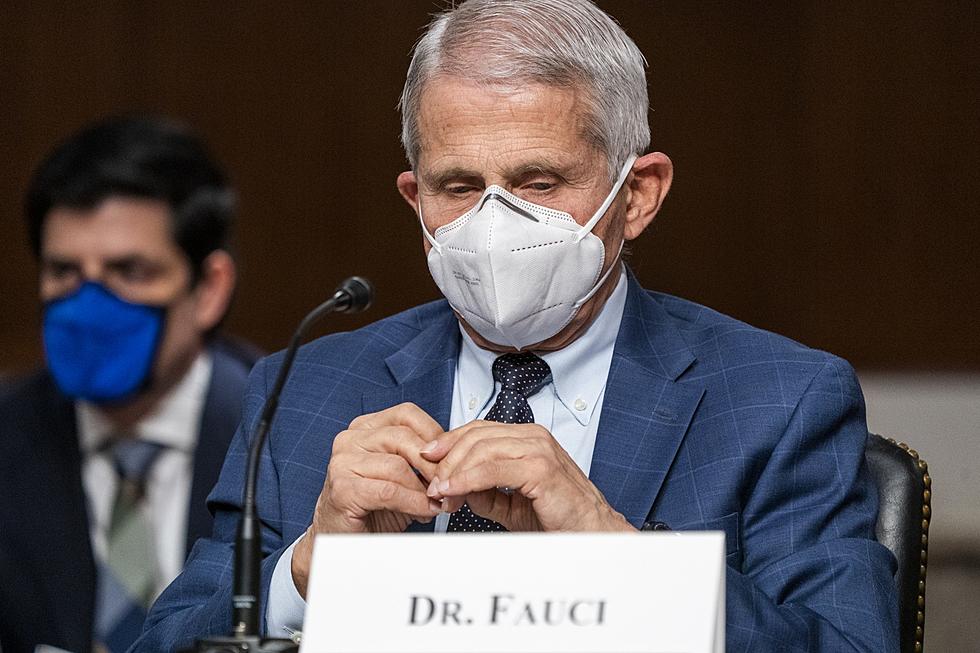 Dr. Fauci Says Covid-19 Will Be Endemic. What Does That Mean For El Paso?