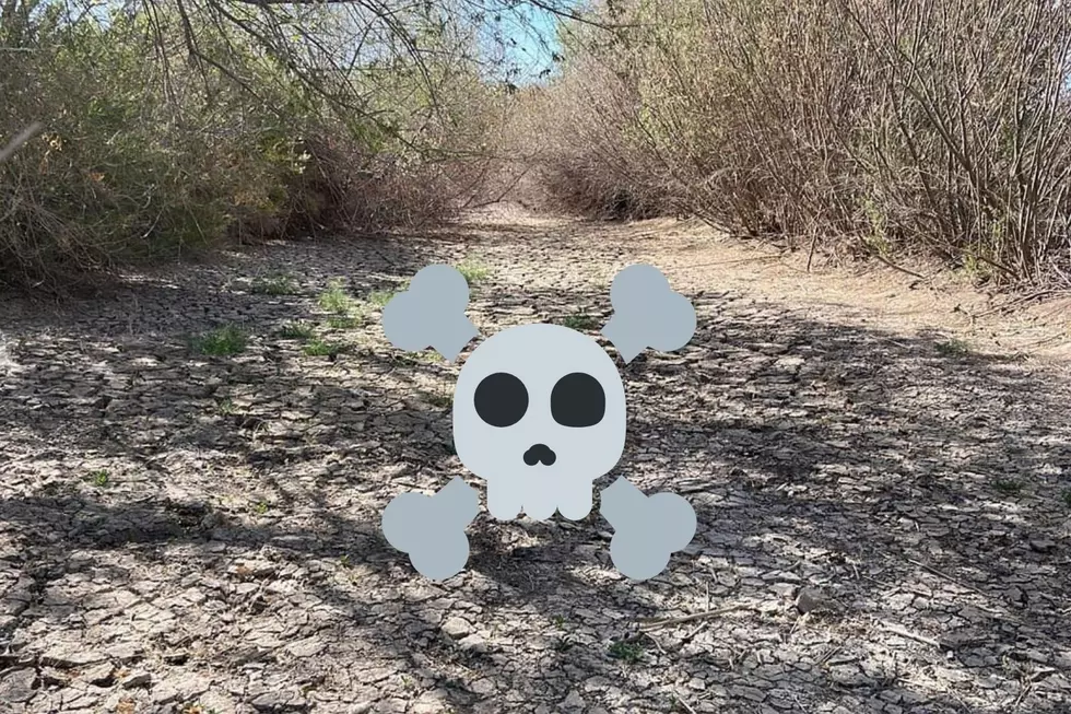 An El Paso Man Shared Pictures of How Depressing Rio Bosque Looks