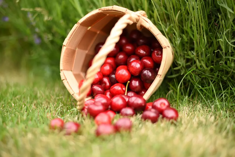 Cadwallader Mountain Farms is More than Ready for This Cherry Season