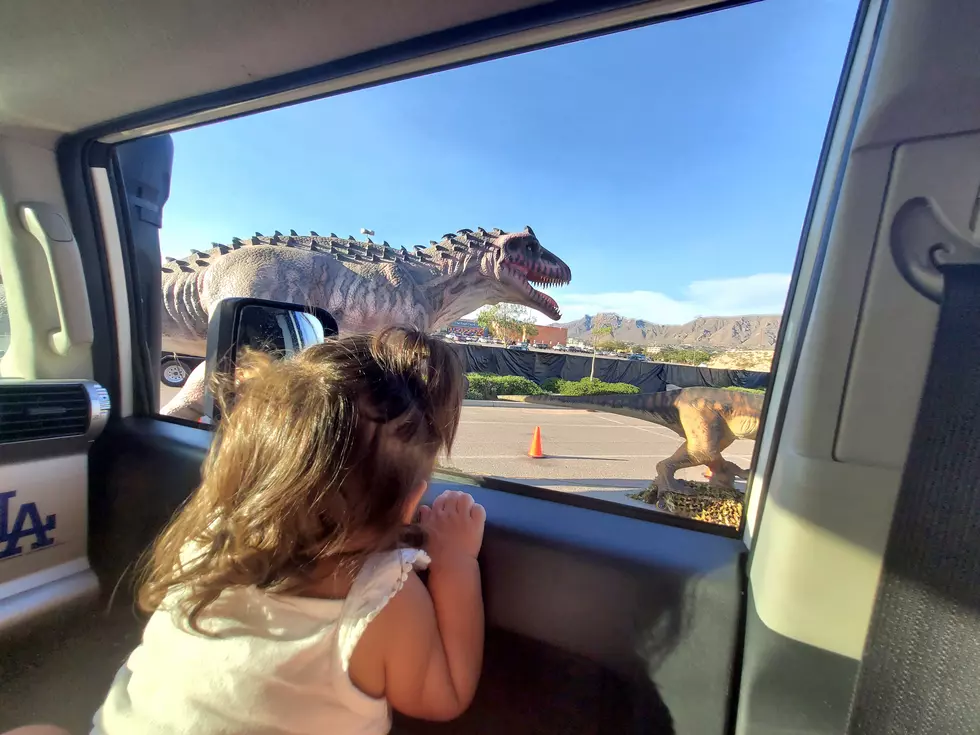Enjoy a Stroll Through the Dinosaur Tour That’s Coming to El Paso
