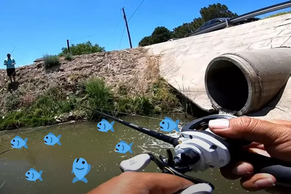 Plenty of Fish In the Water Means It’s Time to Go Fishing El Paso