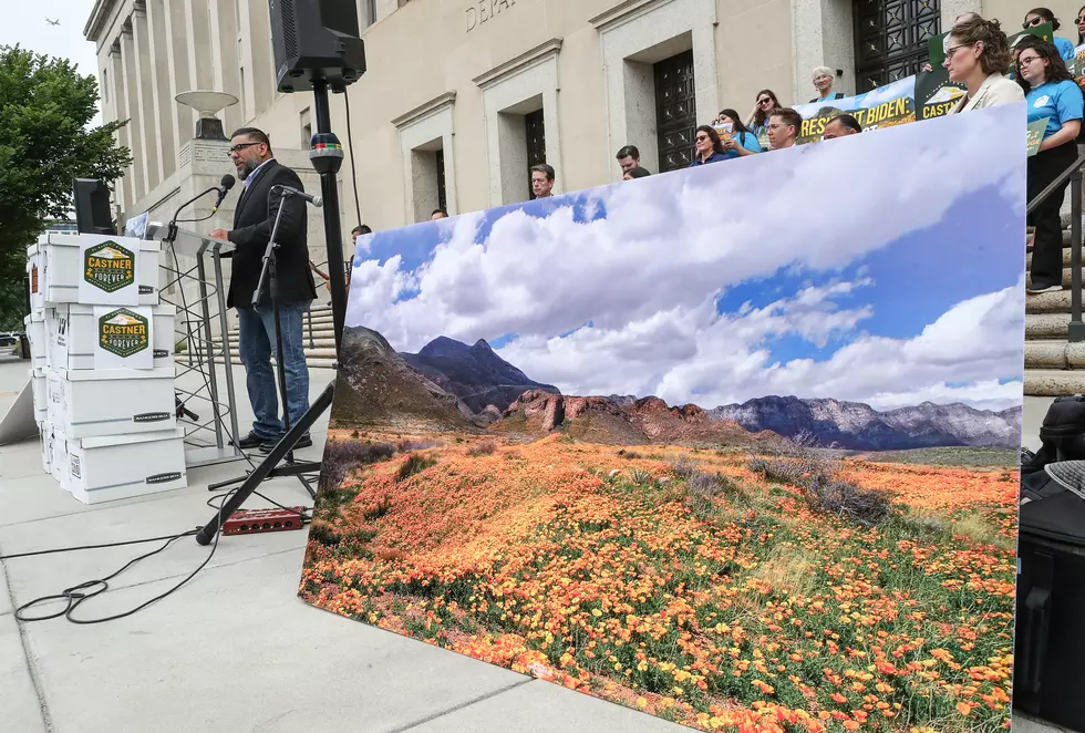 Castner Range Supporters Excited About National Memorial Status
