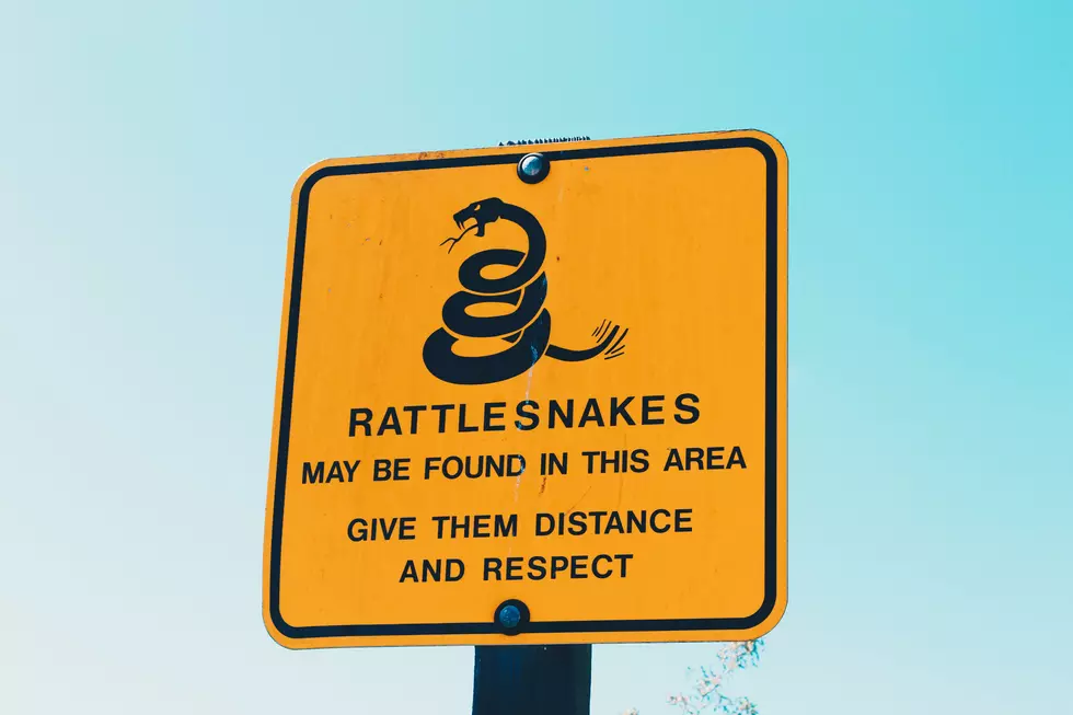 There’s a Rattlesnake Alert for Sunland Park, NM!!