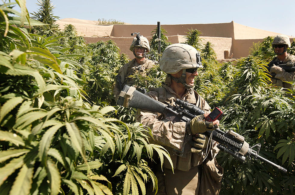 Guess What? Feds Say Pot Smokers In Texas Can’t Buy A Gun