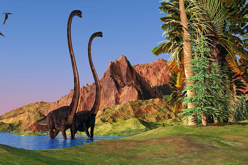 Jurassic Quest is Coming to El Paso this Summer