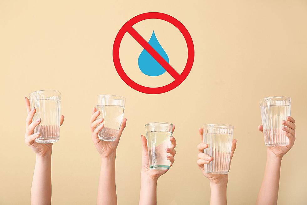 Hate Water? Surprising Foods That Will Leave You Hydrated Instead