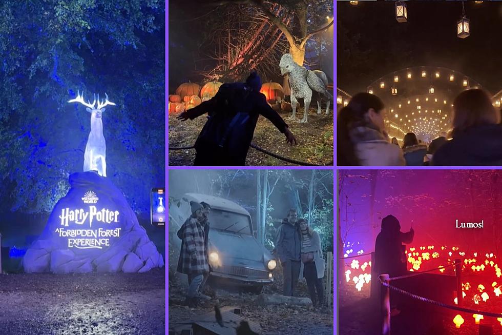 Hogwarts Comes Alive in Texas with Epic Harry Potter Experience
