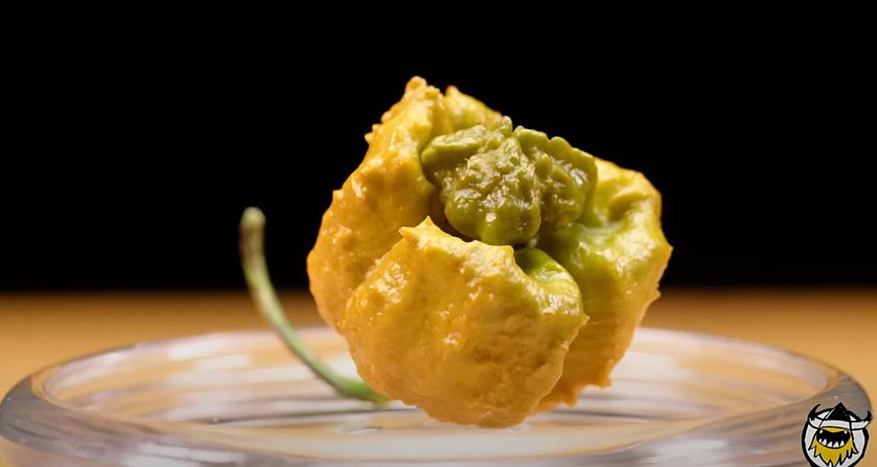 El Paso and the NEW Pepper X: Hottest Pepper Challenge