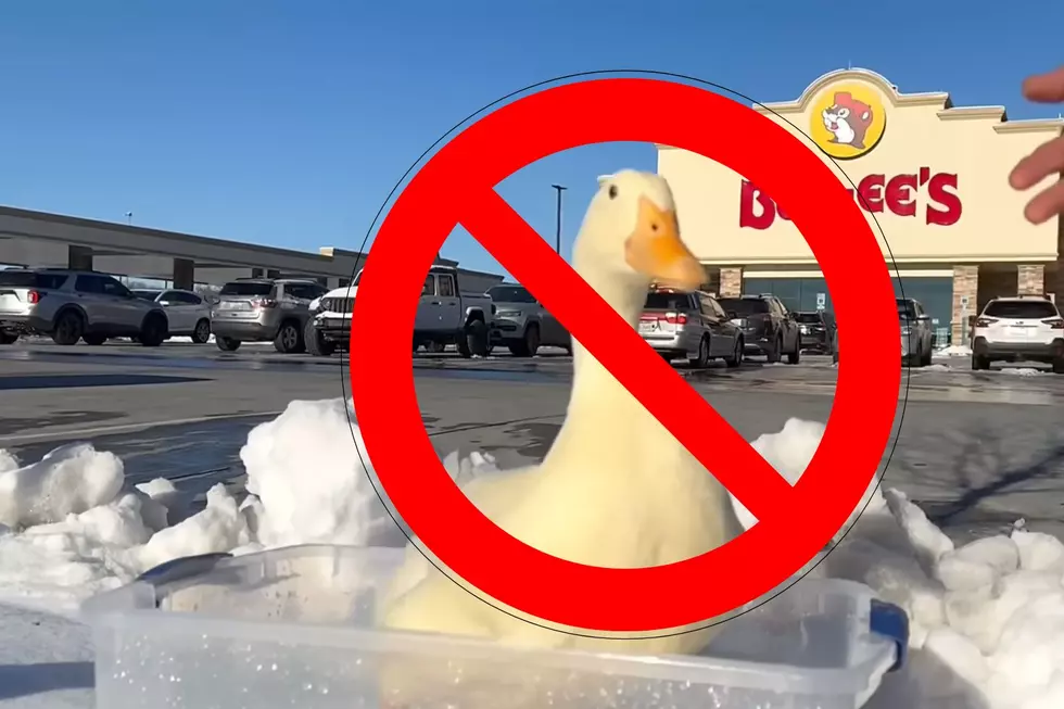 YouTube Duck Gets Lifetime Ban at All Buc-ee's in the World
