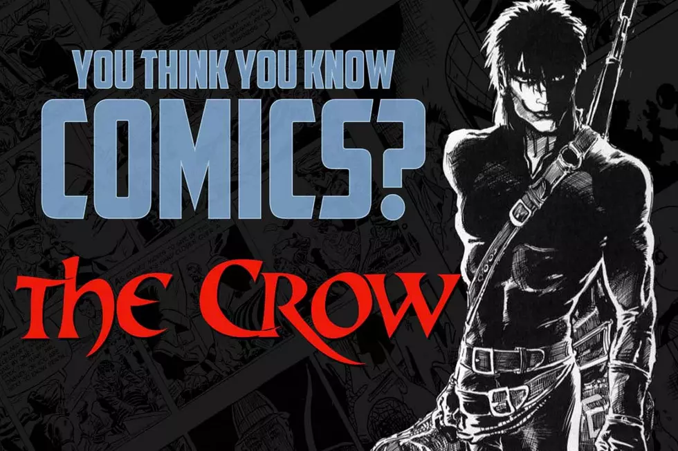 12 Facts You May Not Have Known About The Crow