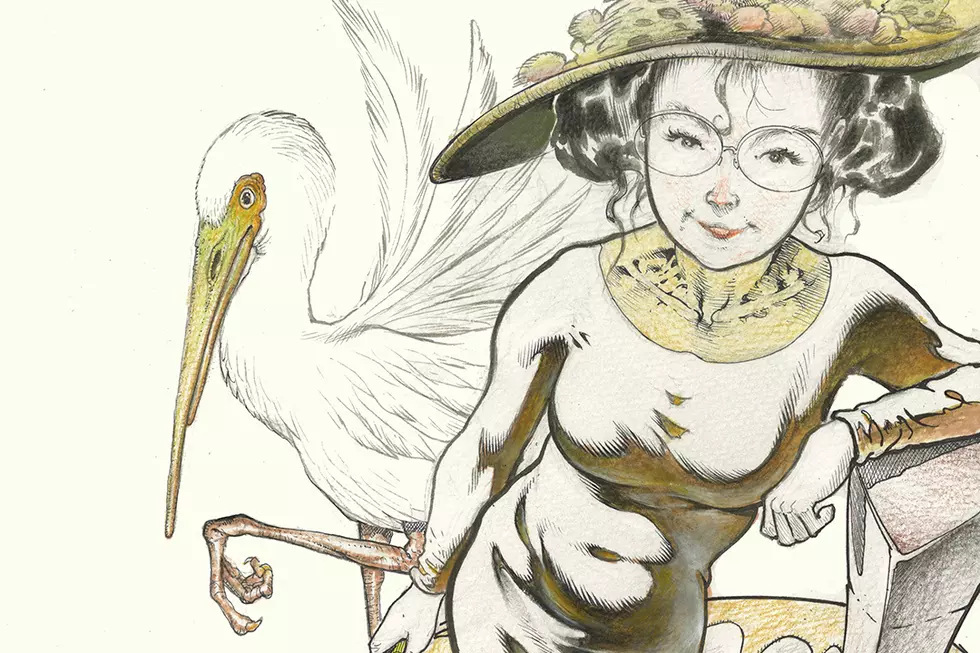Bird Is The Word As John Layman And Sam Kieth Debut ‘Eleanor & The Egret’ At Aftershock