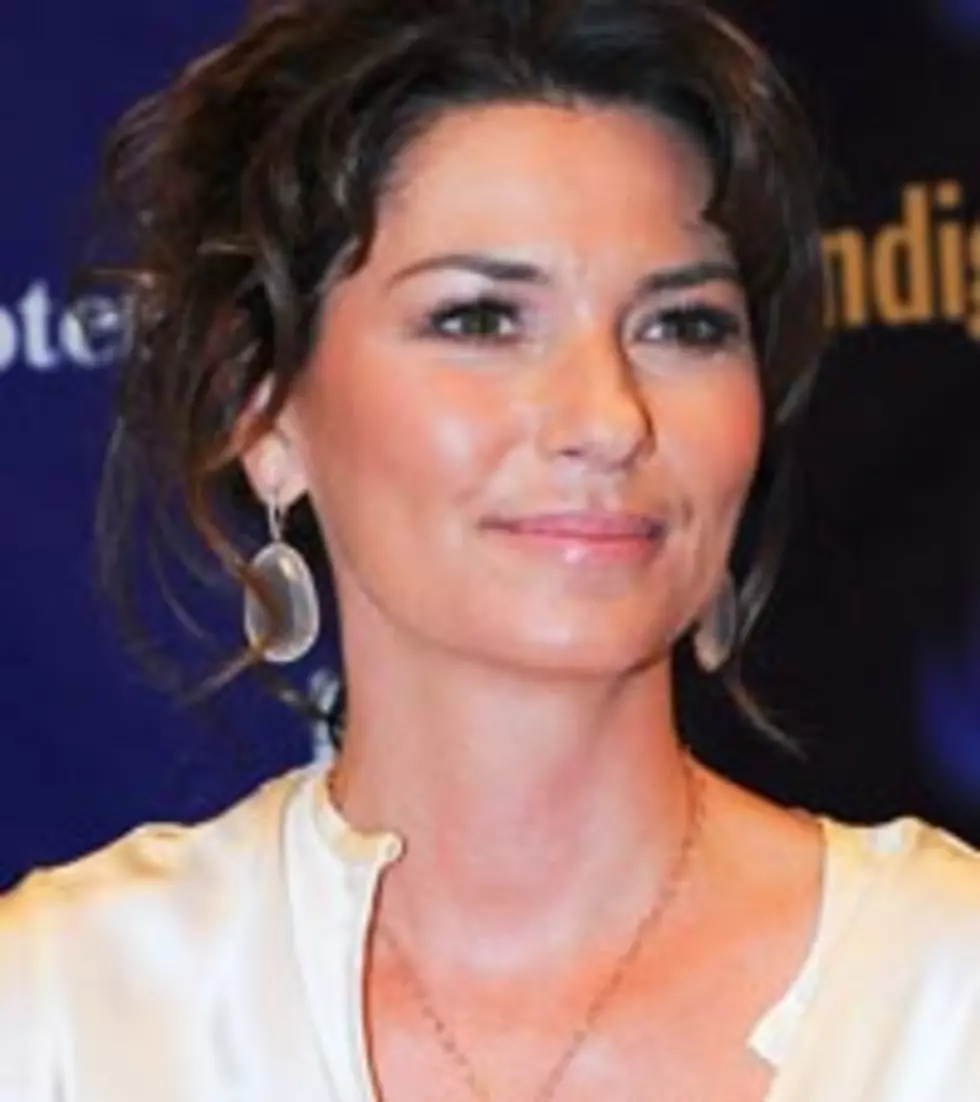 Shania Twain Faces Alleged Stalker in Court