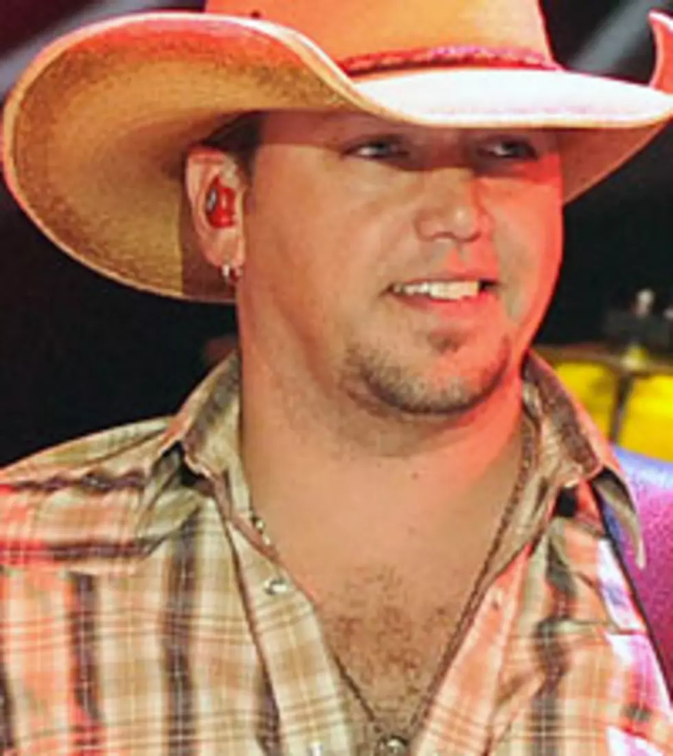 Jason Aldean Concert for the Cure Earns More Than $509,000