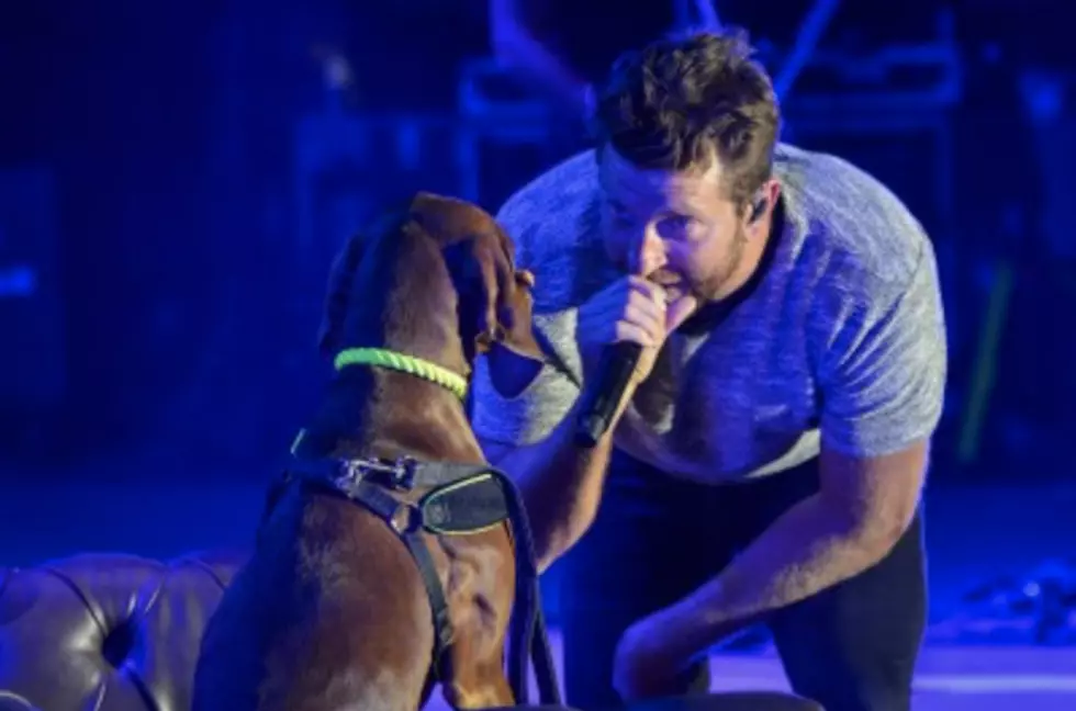 Brett Eldredge Spotlights His Dog Edgar in Adorable New ‘Love Someone’ Video