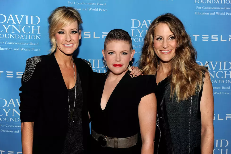 Vince Gill Defended the Dixie Chicks During 2003 Backlash