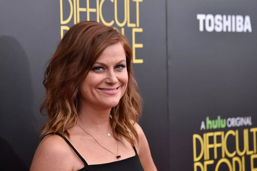 Amy Poehler Bashed for Disturbing R. Kelly and Blue Ivy Joke on 'Difficult People'   