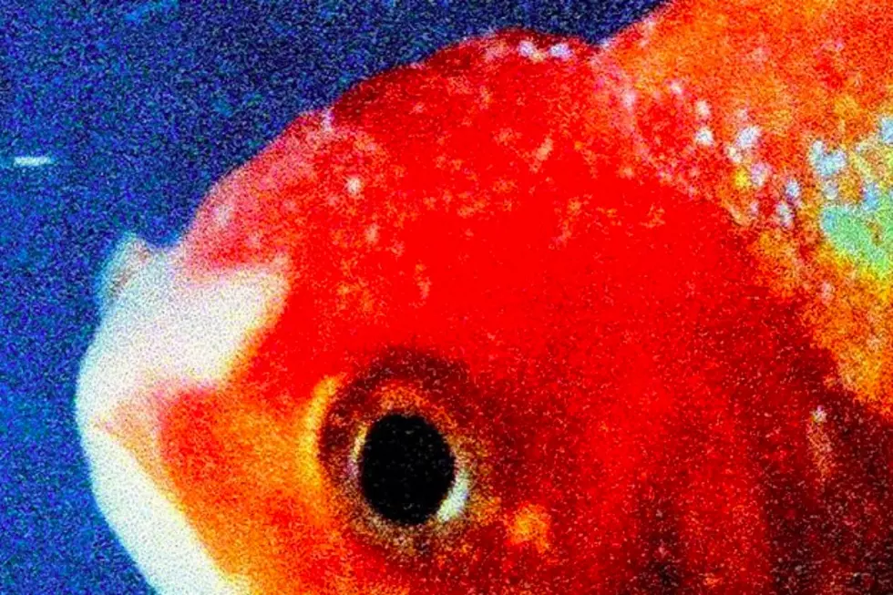 Listen to Vince Staples' New Album 'Big Fish Theory' [STREAM] 