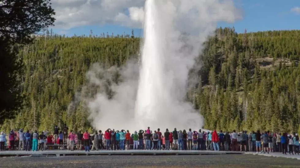 Yellowstone National Park Selfie Pledge