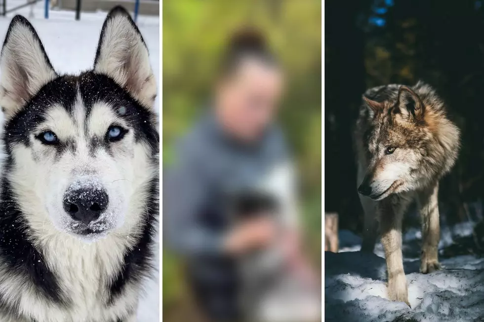 Montana Predator Hunter Goes Viral on Social Media in a Terrible Way