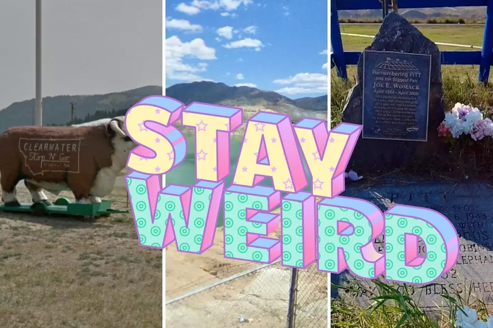 These Are Truly The Weirdest Attractions You Can Visit in Montana