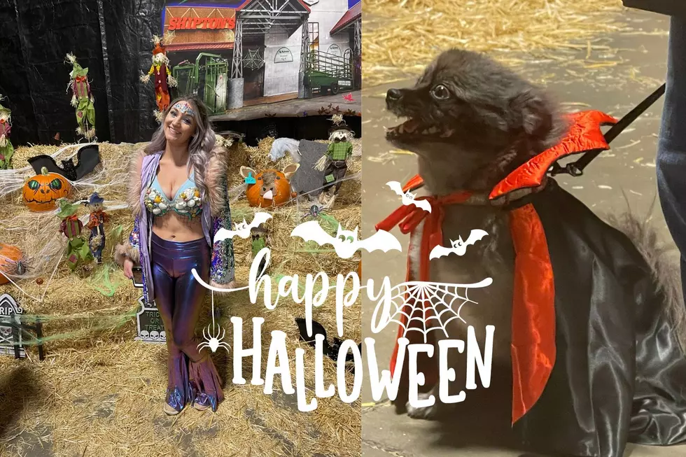 Pet-O-Ween Costume Contest Highlights- Look at the Creativity! 