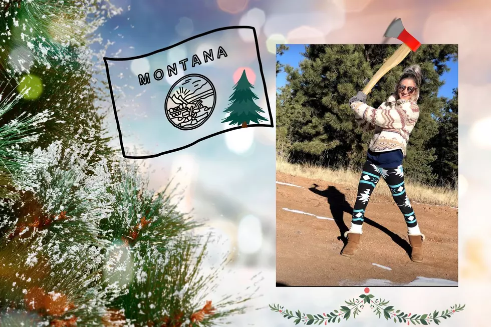 Know Before You Go- Chopping a Montana Tree for the Holidays 