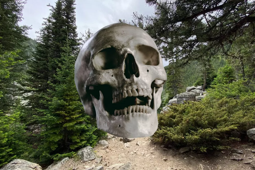 Human Skull Found South of Red Lodge, MT in '04 Identified by DNA