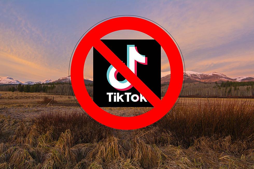 Could TikTok be Completely Banned in Montana? Bill Advances in Helena