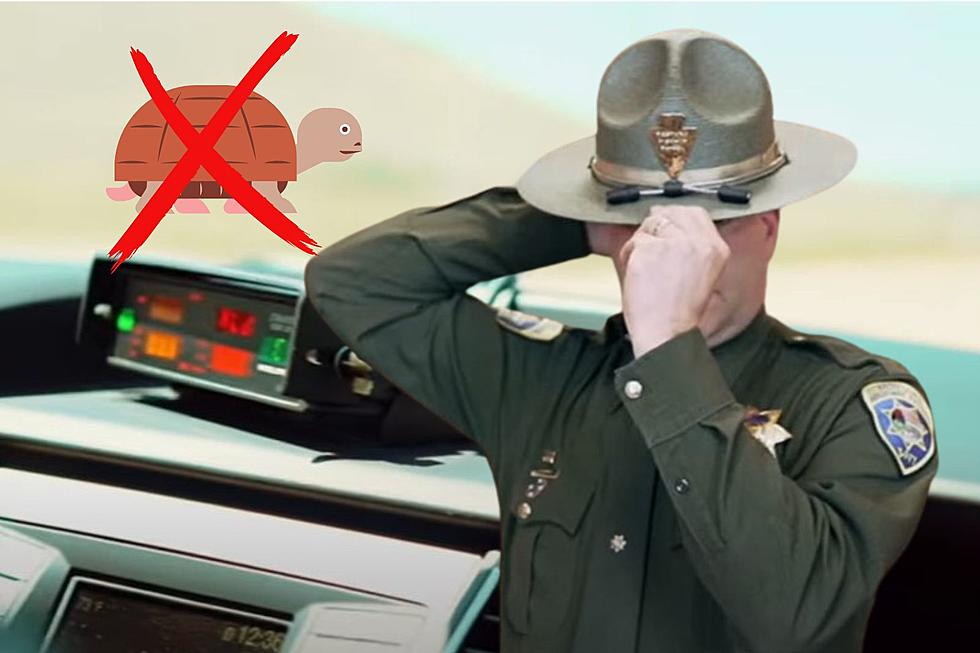 Yes, Driving Too Slowly in the Fast Lane in Montana is Illegal
