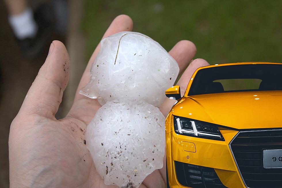 Aw, Hail No. Would Montanans Use This Wacky Vehicle Protector?