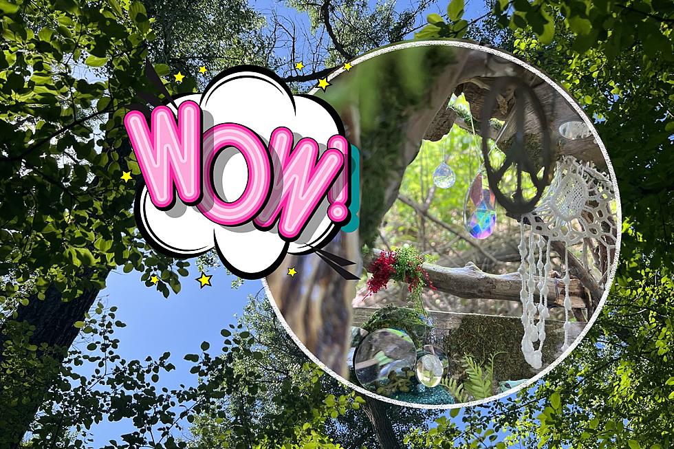 LOOK: Amazing Woodland Fairy House Hidden in This Billings Park