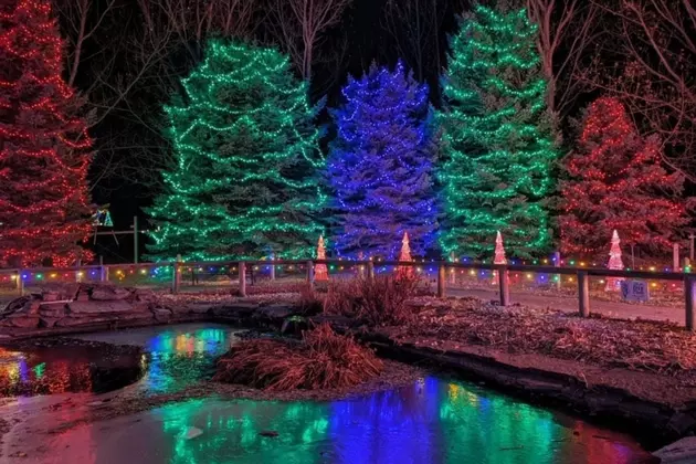 One of the Best Zoo Lights in the Nation are in Billings, MT