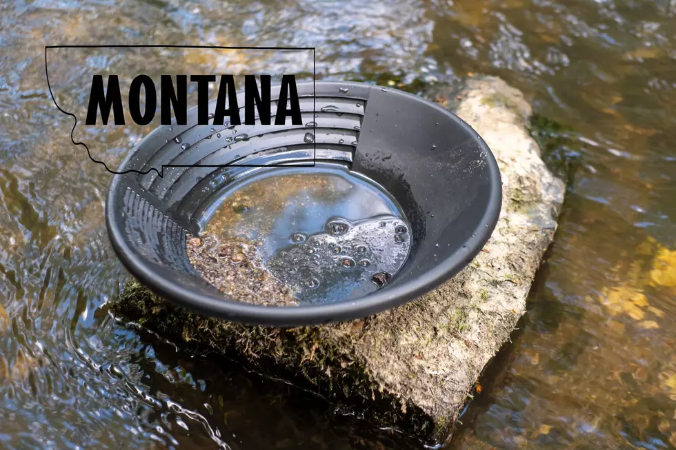Want to Find Gold in Montana? Join a Club