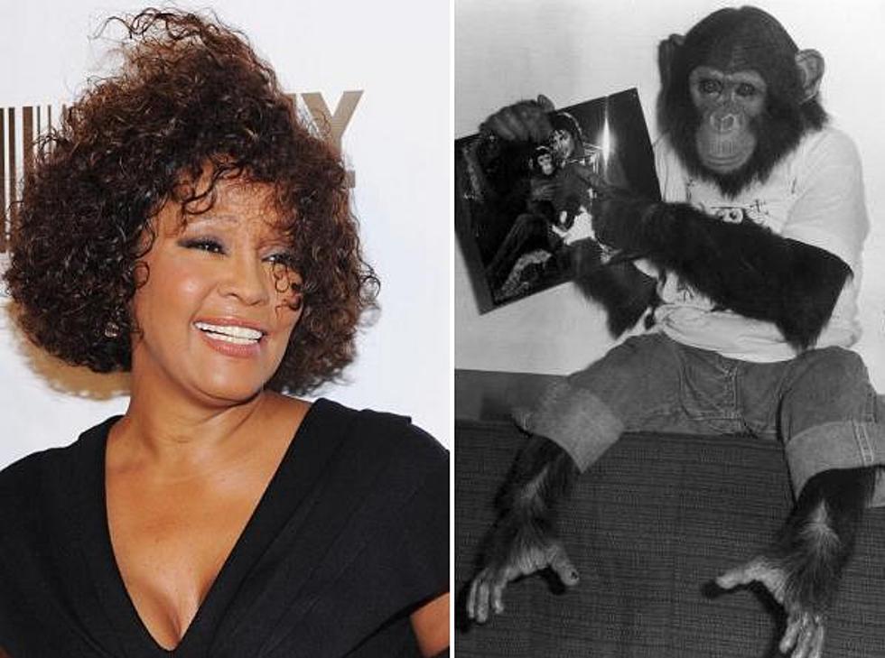 Hollywood Dirt: Whitney Houston’s Sexy Time with Bubbles the Chimp plus Photo of What Beyonce’s Child Will Look Like