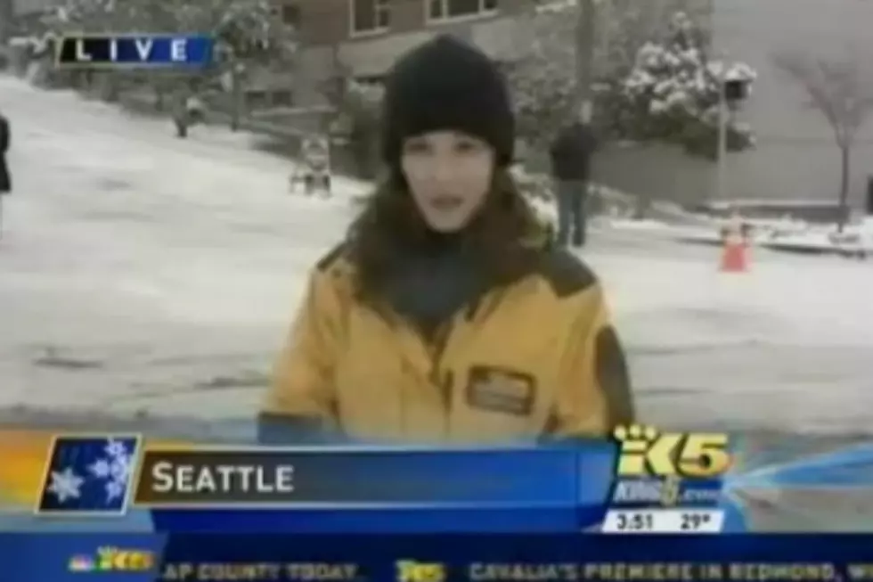 Killjoy Reporter Ruins Everyone&#8217;s Sledding Fun [VIDEO]