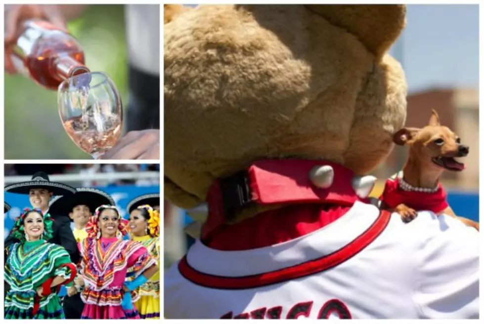 El Paso Weekend Events &#8211; Festivals, Fiestas &#038; Chihuahuas Baseball