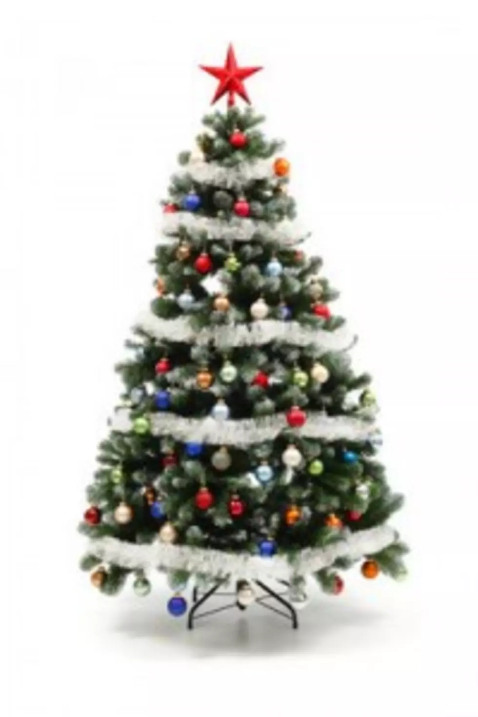 Submit Your Christmas Tree At The Festival of Trees