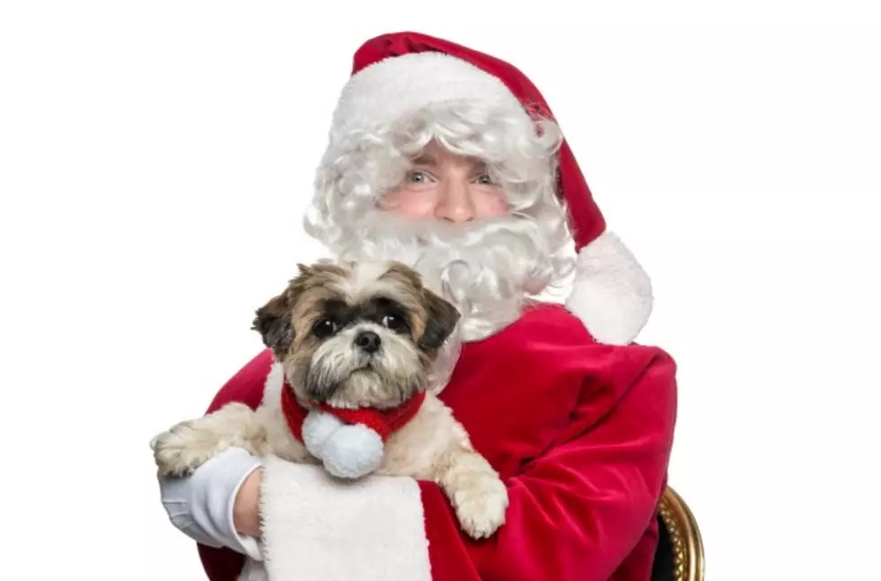 Pet Photos with Santa at Cielo Vista and Sunland Park Mall this Weekend