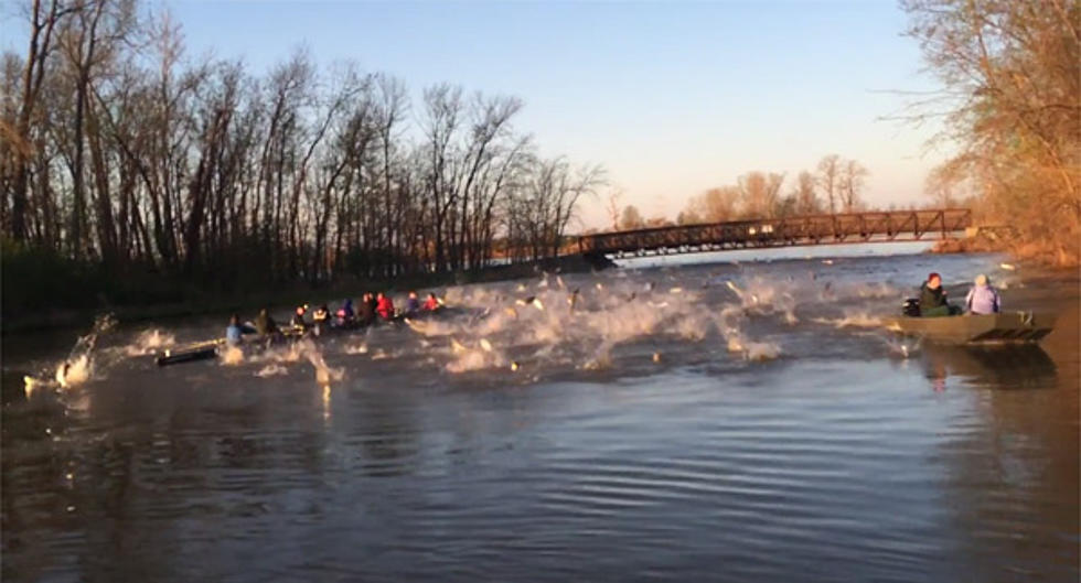 Watch Rowers Get Attacked by Dozens of Flying Fish